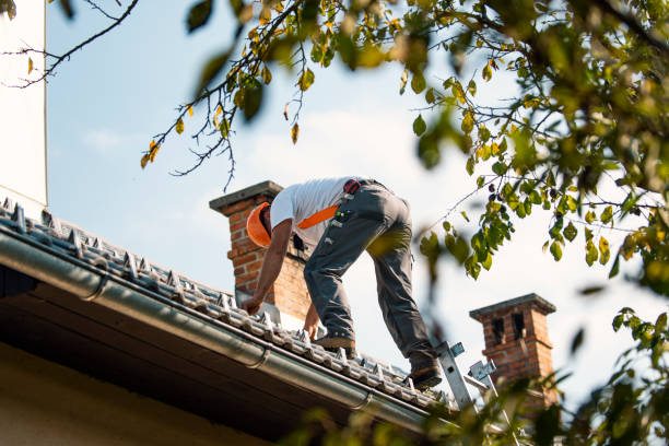 Best Roof Waterproofing Services  in Edgewater, NJ